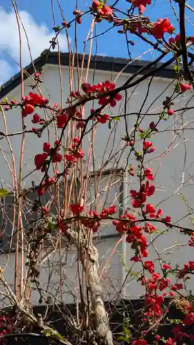 西方寺(京都府)