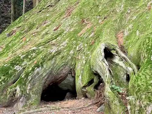 河口浅間神社(山梨県)