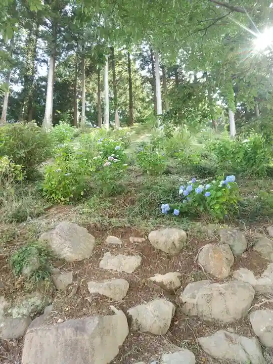 吉祥寺(栃木県)