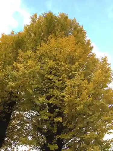 見性寺(三重県)