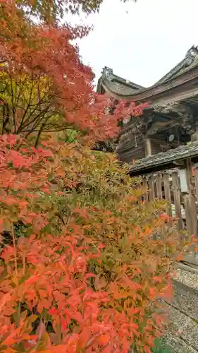 鍬山神社(京都府)