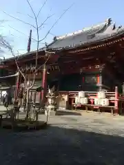 楽法寺（雨引観音）の本殿