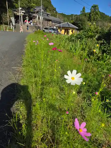 事任八幡宮(静岡県)