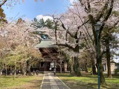 東漸寺(千葉県)