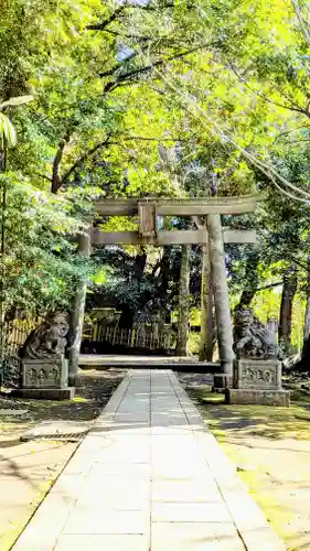 渋谷氷川神社の鳥居