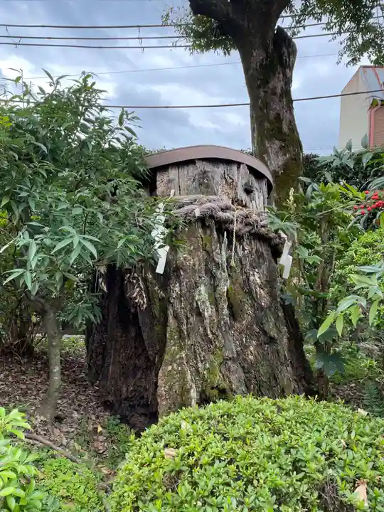 久我神社(賀茂別雷神社摂社)(京都府)