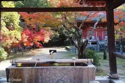 太山寺(兵庫県)
