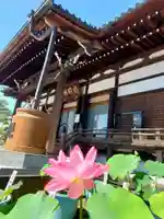 善導寺(福島県)
