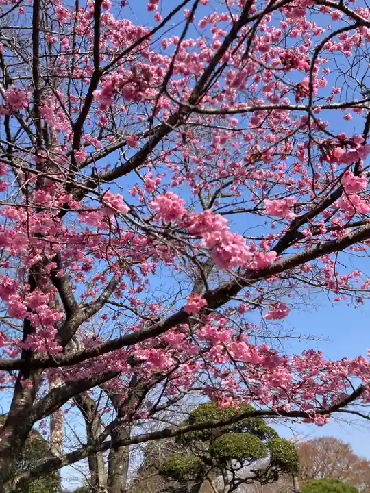 國分寺(千葉県)