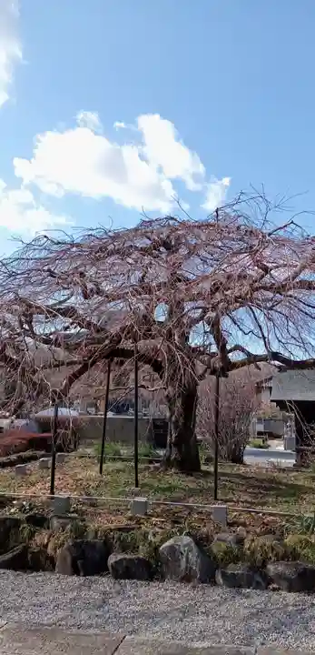 成就院(栃木県)