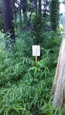 神社(名称不明)の周辺