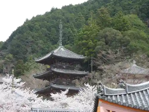 南法華寺（壷阪寺）(奈良県)
