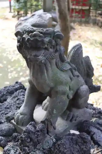 駒込天祖神社の狛犬