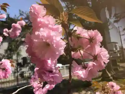 諏方神社(福島県)