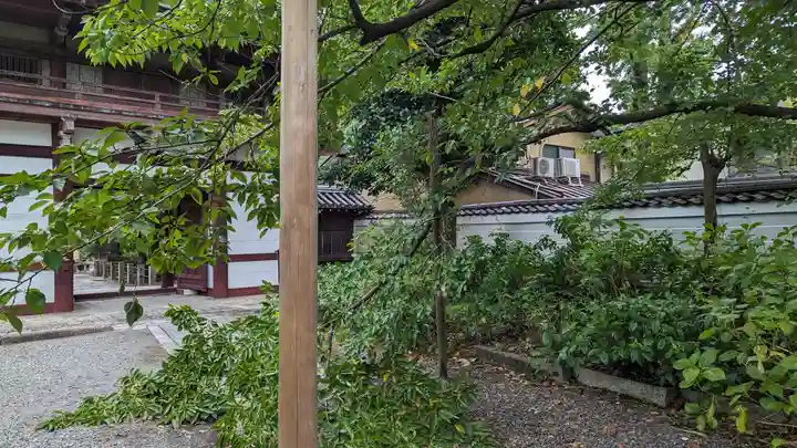 本法寺(京都府)