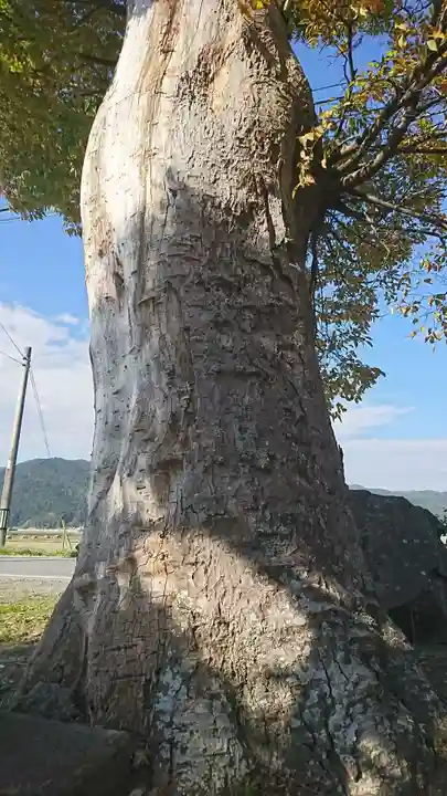 熊野神社のその他建物
