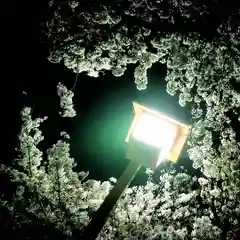 尾張大國霊神社（国府宮）の自然