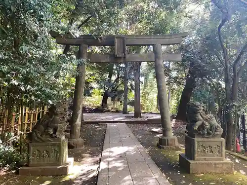 渋谷氷川神社の鳥居