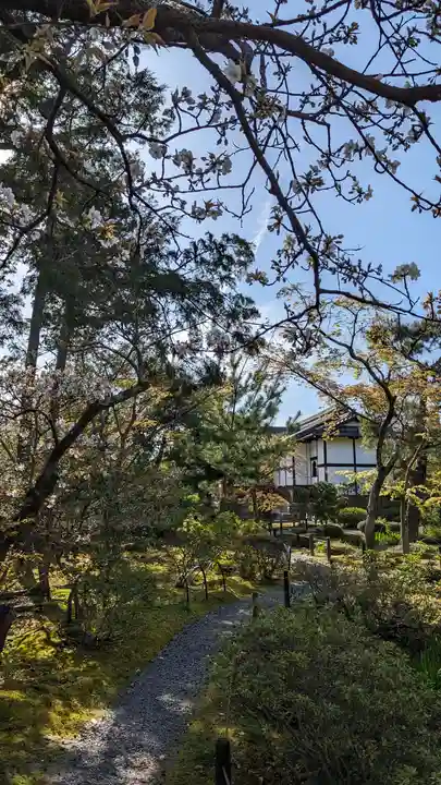 等持院(京都府)