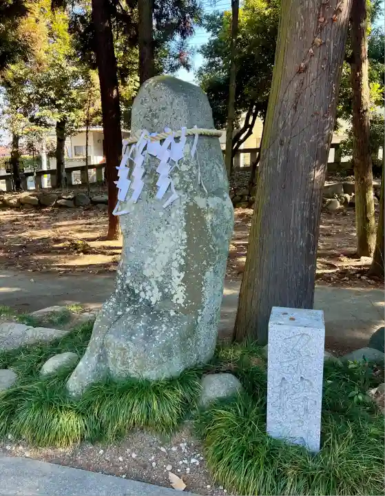 甲斐國一宮 浅間神社(山梨県)