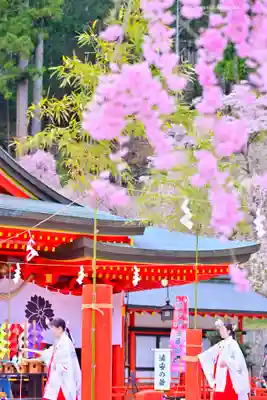 金櫻神社(山梨県)