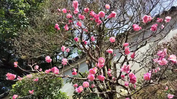 雲龍院(京都府)