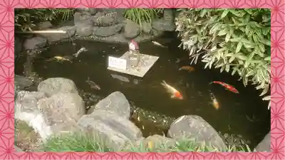 櫻木神社(千葉県)