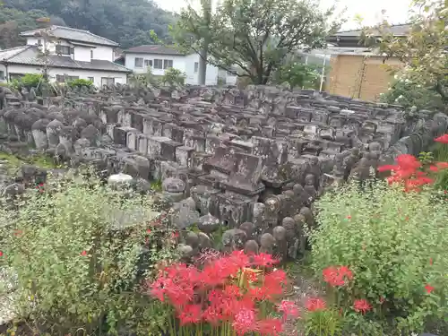 福泉寺のお墓