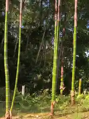 白山神社(福井県)