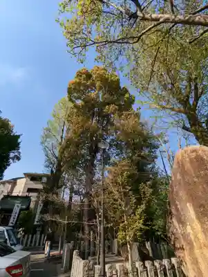 護王神社(京都府)