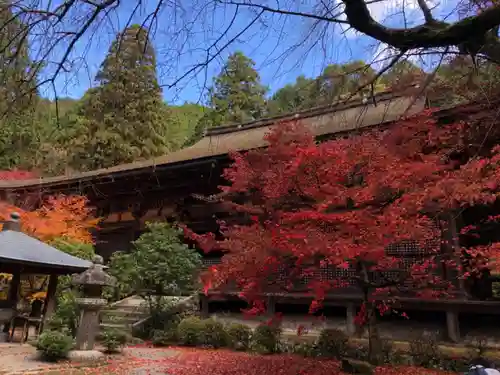 金剛輪寺の庭園