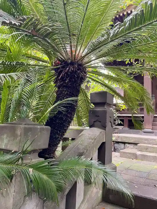 竜谷寺(東京都)