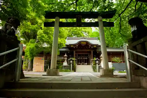 鳩ヶ谷氷川神社の鳥居