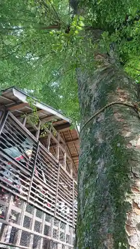 祖母井神社のその他建物
