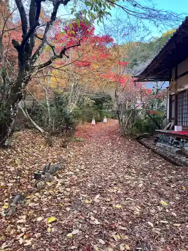 神藏寺(京都府)