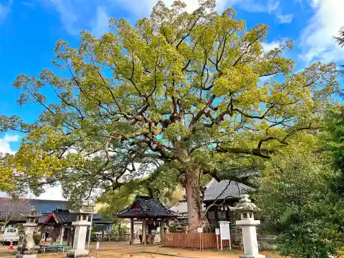 岡崎八幡宮(山口県)