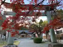 足羽神社の鳥居