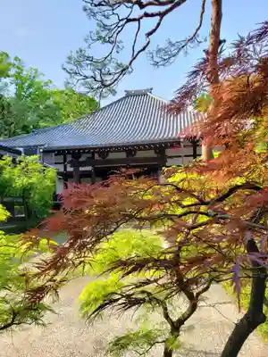 妙法寺(東京都)