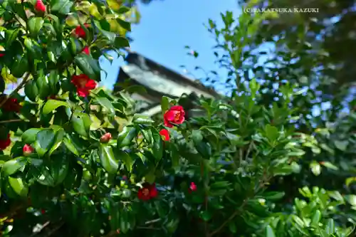 酒列磯前神社(茨城県)