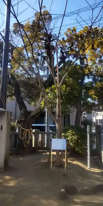 綾瀬稲荷神社(東京都)