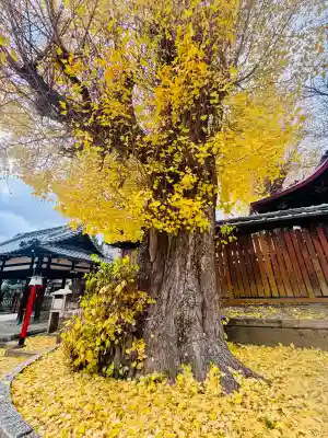 宇賀神社(京都府)