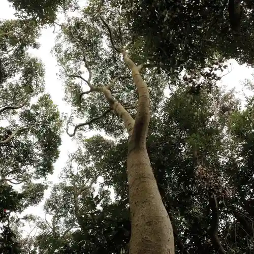 天満神社の自然