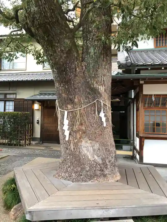 晴明神社の自然
