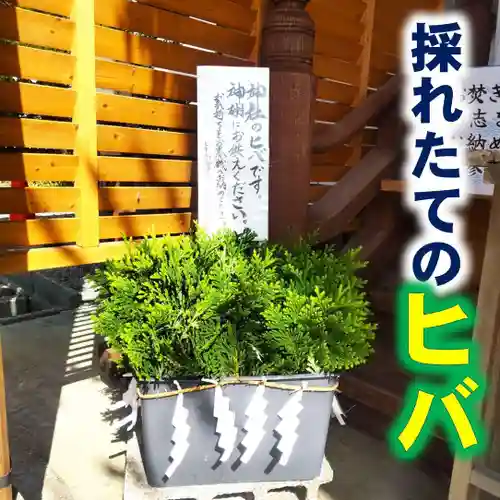 七重浜海津見神社(北海道)