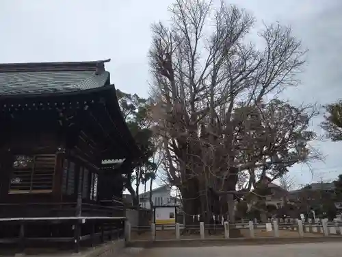 葛飾八幡宮(千葉県)