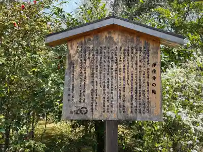 浄住寺(京都府)