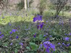 安養寺(静岡県)