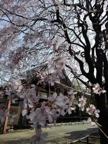 南養寺の本殿・本堂