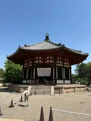 興福寺 北円堂の{uncategorized: "未分類", other: "その他", undefined: "問題あり", building: "その他建物", grave: "お墓", sacred_gate: "鳥居", guardian: "狛犬", statue: "像", buddha: "仏像", history: "歴史", nature: "自然", garden: "庭園", animal: "動物", pagoda: "塔", temizu: "手水舎", mountain_gate: "山門・神門", sanctuary: "本殿・本堂", subordinate: "末社・摂社", art: "芸術", scenery: "景色", jizo: "地蔵", ema: "絵馬", goshuin: "御朱印", omikuji: "おみくじ", items: "授与品その他", amulet: "お守り", goshuincho: "御朱印帳", eats: "食事", festival: "お祭り", votive_dance: "神楽", shichigosan: "七五三参", wedding: "結婚式", experience: "体験その他", initially: "初詣", around: "周辺", anti_infection: "感染症対策"}