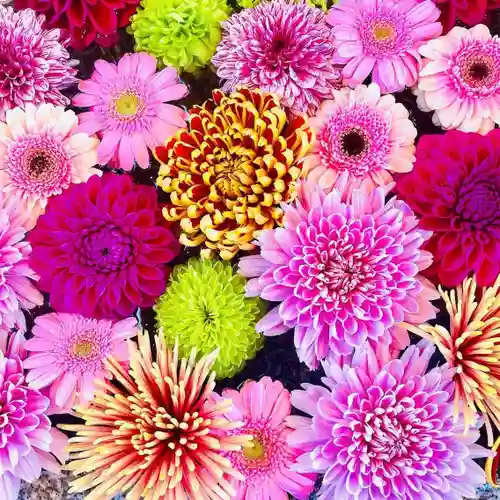 現人神社(福岡県)